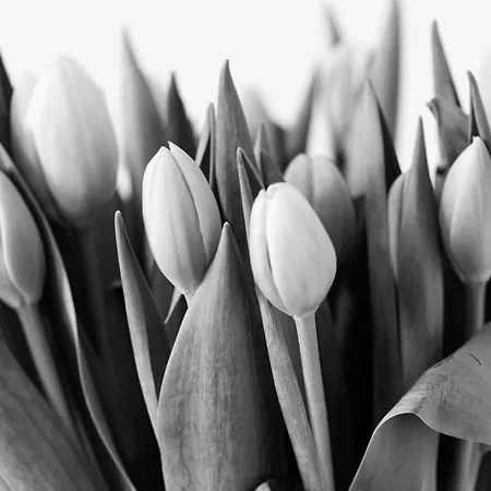 Am Pavillon Bed & Kitchen 베른