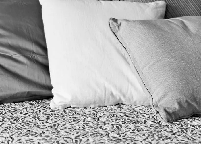 Am Pavillon Bed & Kitchen Bern