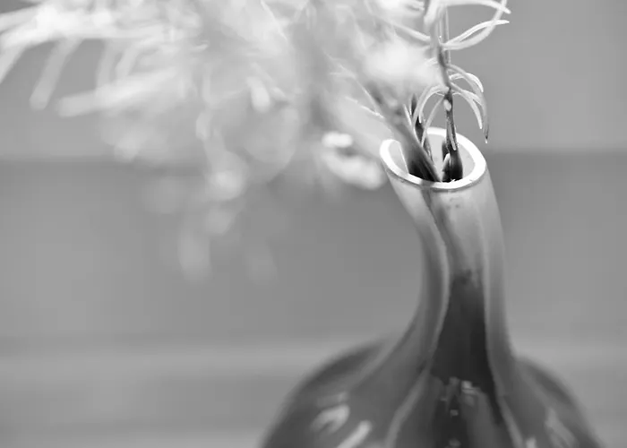 Bed & Breakfast Am Pavillon Bed & Kitchen 3*