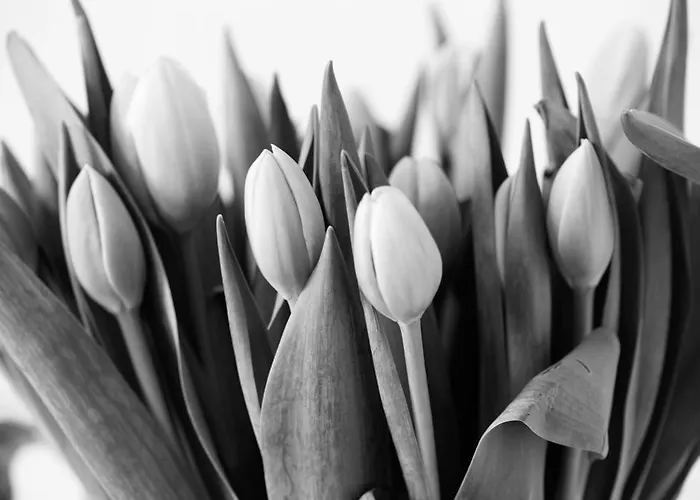 Am Pavillon Bed & Kitchen Берн